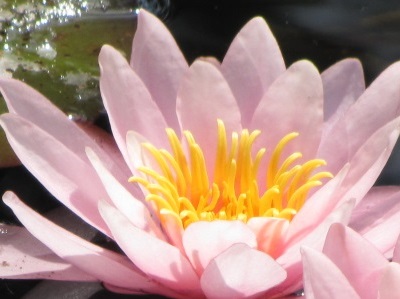 Inneres Beten Teaser