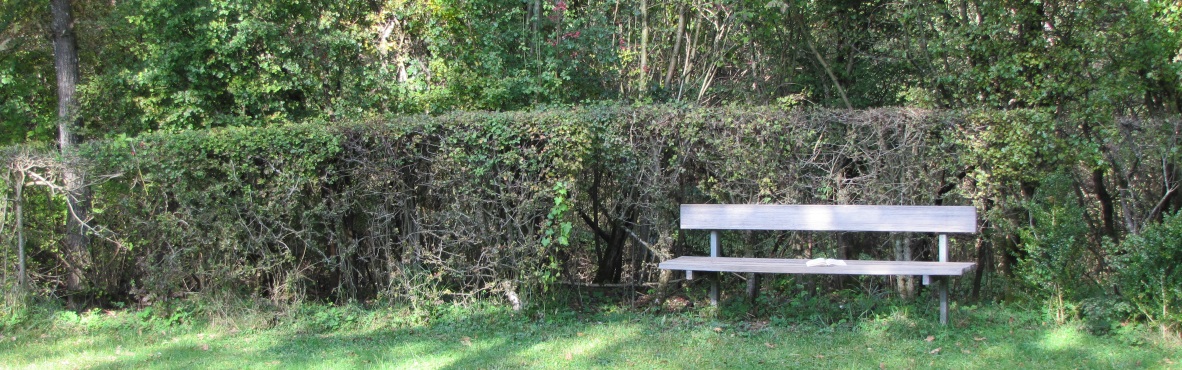 Holzbank im Klostergarten